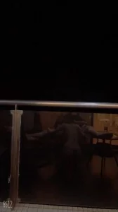 对镜吃j8 郑州找女